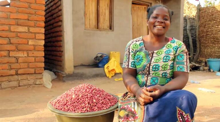 Safeguarding Groundnuts From Contamination
