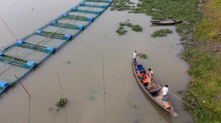 FAO Report: Global Fisheries and Aquaculture Production Reaches a New Record High