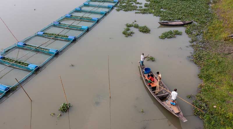 FAO Report: Global Fisheries and Aquaculture Production Reaches a New Record High