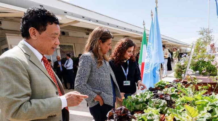 New Hydroponic Garden Paves the Way for Experimentation on Better Resource Management in Soil-less Agriculture