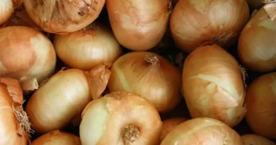 Today's Onion Mandi Rate (as on 21 June 2024)