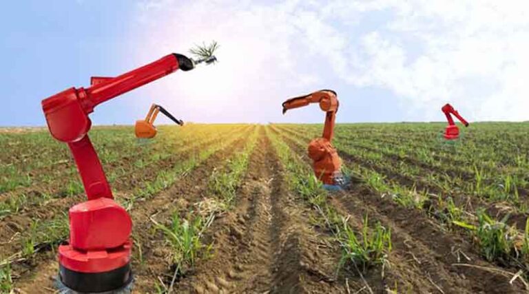 Agricultural Robots Industry: Innovating Solutions for the Challenges of Modern Farming