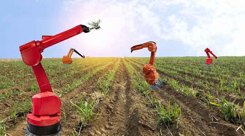 Agricultural Robots Industry: Innovating Solutions for the Challenges of Modern Farming