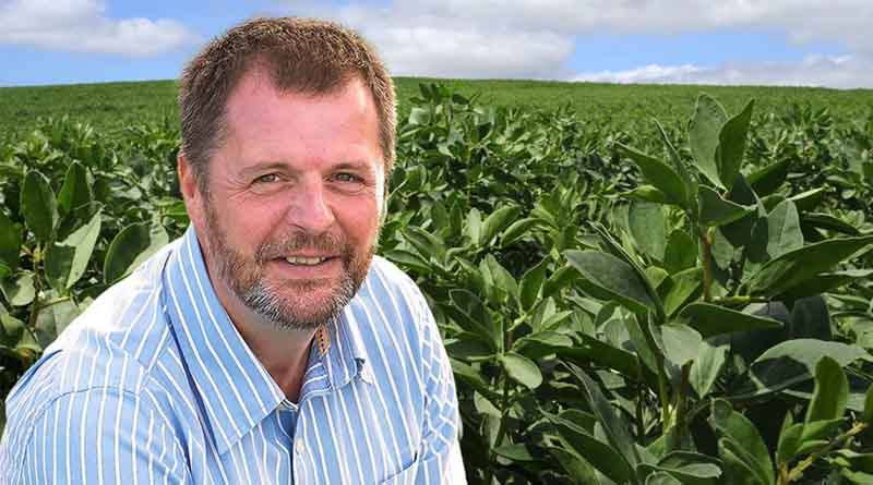 Spring Bean Disease Control