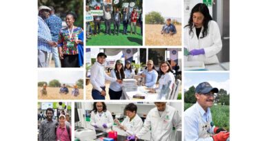 Everyone is welcome! Building an Inclusive and Respectful Workplace at CIMMYT: Our 2030 Vision and Commitment