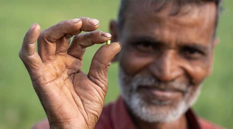 Breaking the Stigma of Grasspea in South Asia
