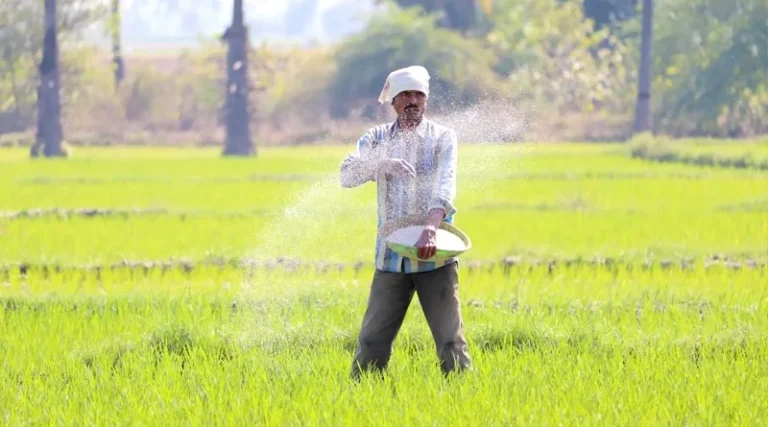 Cabinet approves Minimum Support Prices (MSP) for Kharif Crops for Marketing Season 2024-25