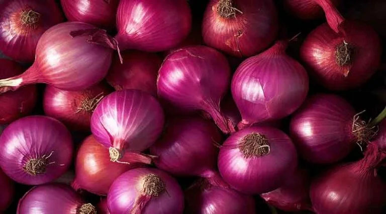 Today's Onion Mandi Rate (as on 25 June 2024)