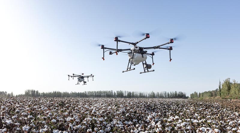 How Many Agriculture Start-Ups Are There in India?