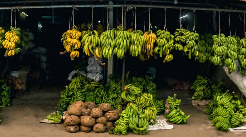 Ministry of Rural Development Announces Major Infrastructure Projects for Kerala