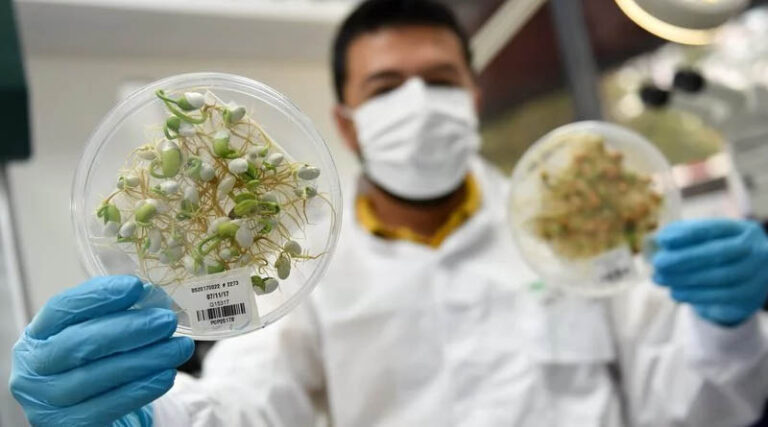 Looking at Genebanks Through a Breakthrough Lens