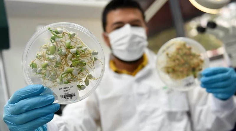 Looking at Genebanks Through a Breakthrough Lens