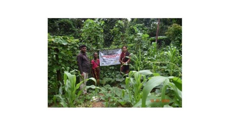 Nutri Garden Initiative to Empower Farm Women of West Garo Hills