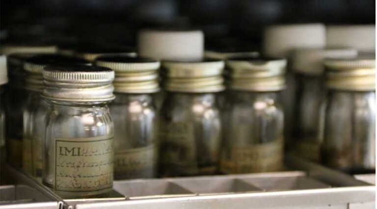 CABI Awarded £1.25 Million Capital Grant From the Wolfson Foundation Towards Relocation of Its UK Research Facilities