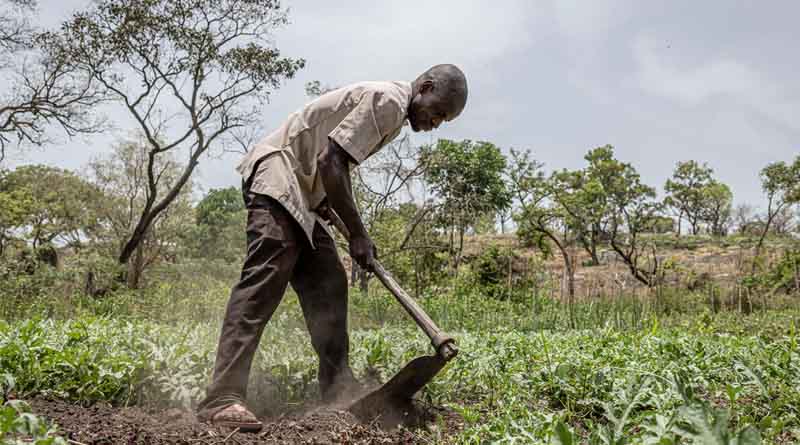 South Sudan: the Government, World Bank and FAO Scale Up Actions to Build Farmers’ Climate Resilience in the Face of Flooding and Other Disaster Risks