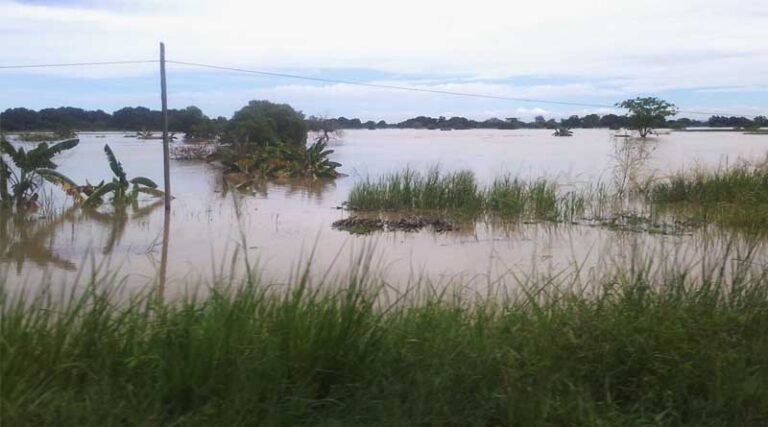 Climate-smart Mapping Can Help Tanzanian Rice Farmers in Flood-prone Areas Mitigate Crop Losses