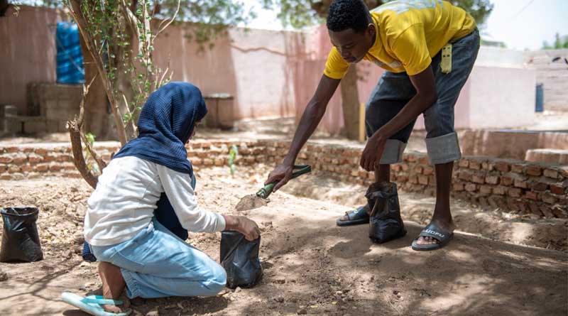 Harvesting Diversity and Feeding Hope: Unlocking the Potential of Potatoes