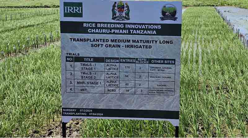 East and Southern Africa Crop Tour Provides Farmers Opportunity to Evaluate New Rice Varieties and Technologies