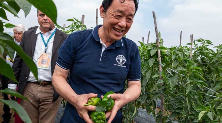 In Brazil, QU Dongyu’s Visit to Family Farmers Highlights Agricultural Progress and Local Innovations