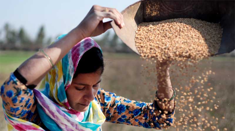 Hunger Numbers Stubbornly High for Three Consecutive Years as Global Crises Deepen: UN Report