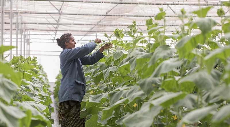 Ensuring Fair Labour by Doing Audits