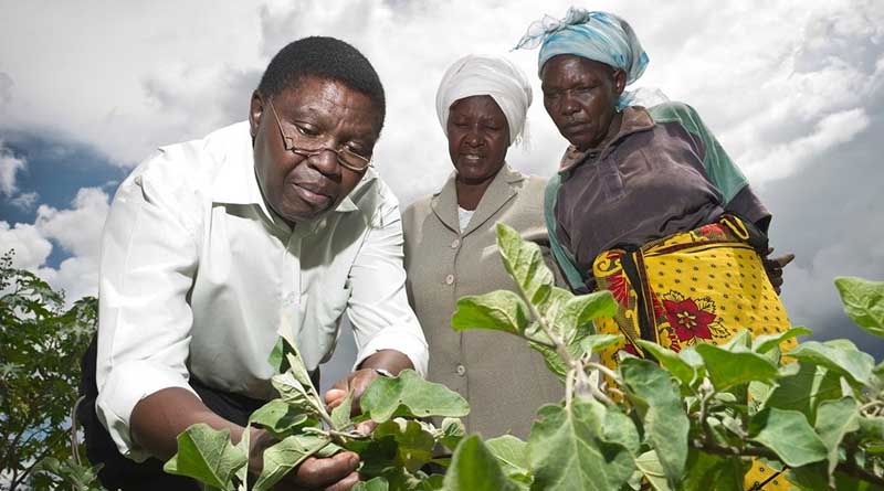 Most Climate-vulnerable Countries With Highest Hunger Rates Significantly Under-represented in Agrifood Research