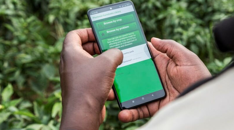 The Dust Has Settled on the Africa Fertilizer and Soil Health Summit: “what Next…?” Asks CABI’s Development Chief