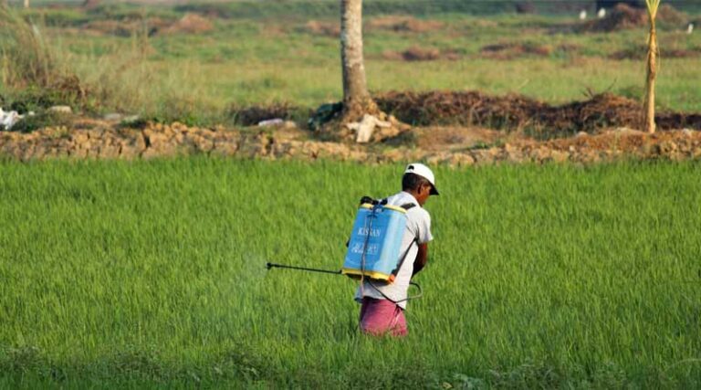 Re-aligning Agri-Food Policies: Saving Punjab and Haryana from Ecological Disaster