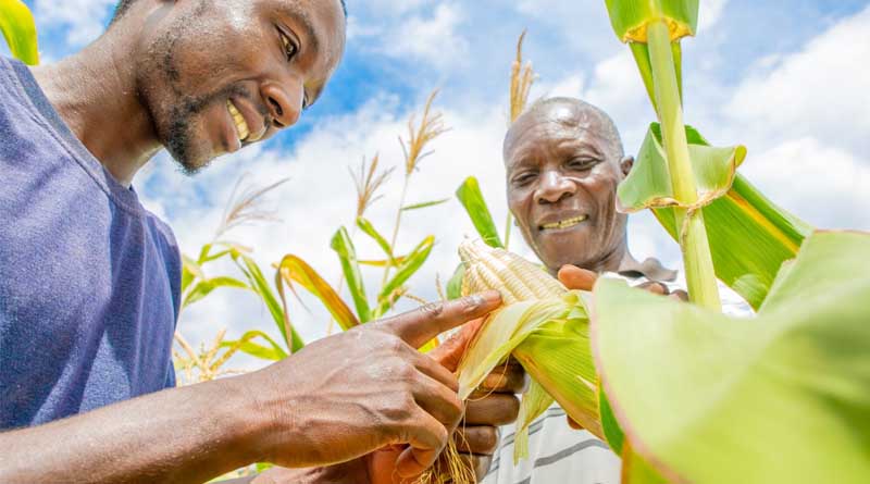 Sowing Seeds of Change to Champion Conservation Agriculture