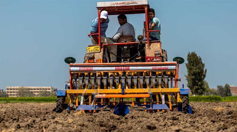 Transformative Innovation for Dryland Agriculture