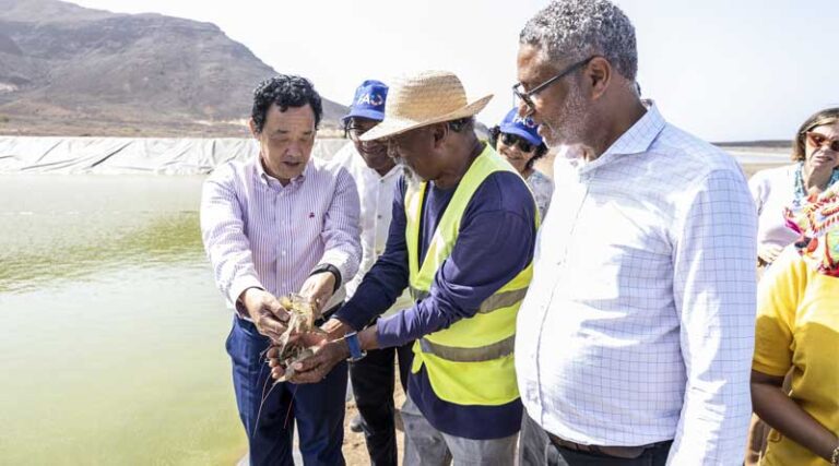 FAO Director-general’s Visit to Cabo Verde Highlights Success in Sustainable Agriculture and Fisheries