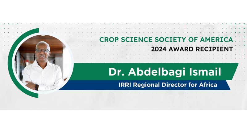 IRRI Scientist Receives Crop Science Society of America Highest Award for 2024