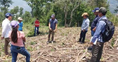 Innovation Hubs in Western Honduras, Cornerstones for Agricultural Sustainability
