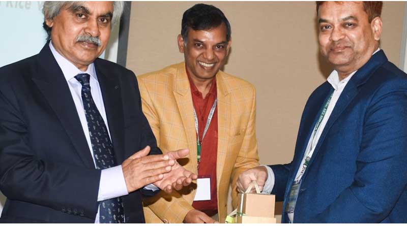 Heat-Tolerant Rice Varieties Promises Increased Yields in Bangladesh