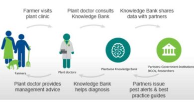 Unlocking the Power of Data Ecosystems in Agriculture: Enhancing Insight and Impact