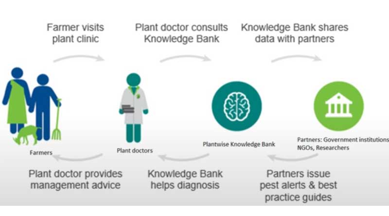 Unlocking the Power of Data Ecosystems in Agriculture: Enhancing Insight and Impact