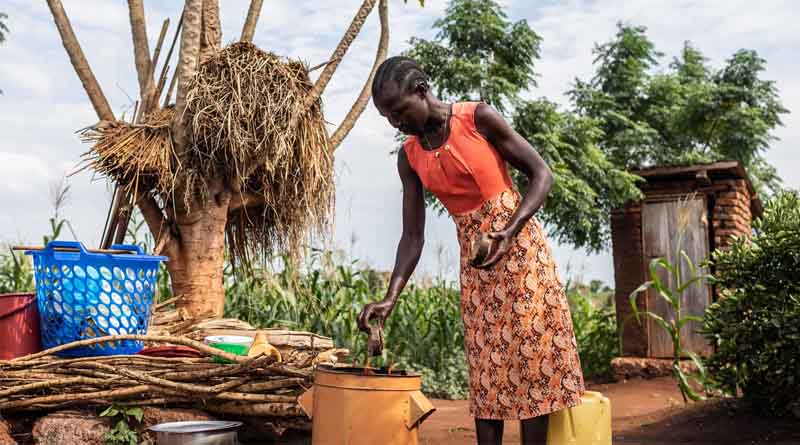 FAO Food Price Index stable in June