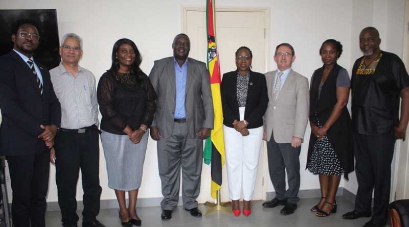 Transforming Agricultural Systems in Mozambique