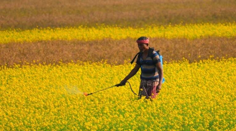 Generic Pesticides Dominate Global Top 20 Selling List: CCFI Chairman Deepak Shah