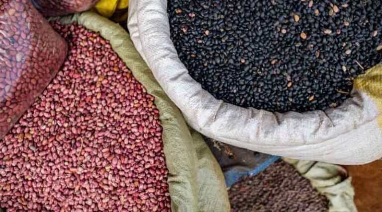 Launch of a New Global Partnership for the Vision for Adapted Crops and Soils Initiative