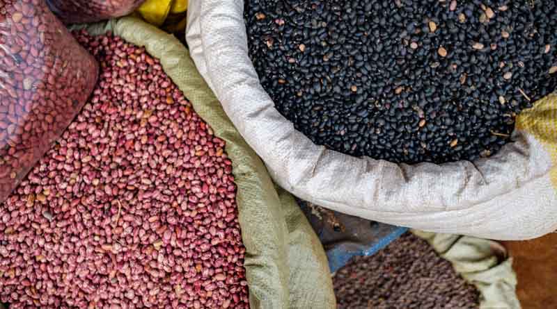 Launch of a New Global Partnership for the Vision for Adapted Crops and Soils Initiative