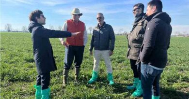 Unlocking Profitability and Sustainability: Rivulis Empowers Farmers
