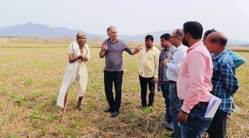 Addressing India's Pulse Production Challenges: Insights from ICARDA and the Roadmap Ahead