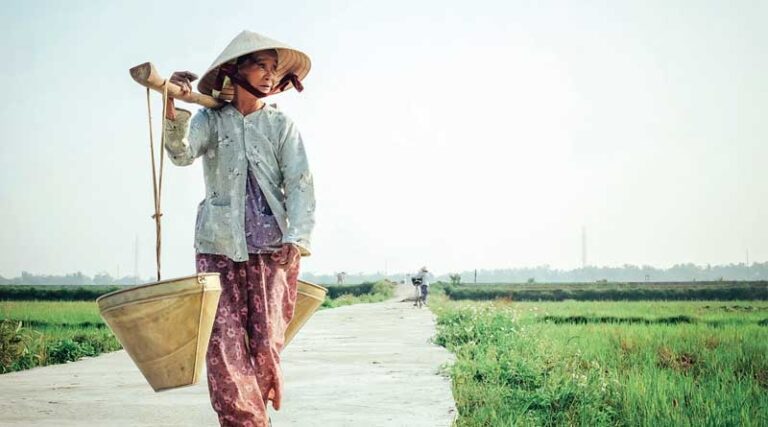 Vietnam's Growing Presence in the Global Agriculture Market: Lessons for India