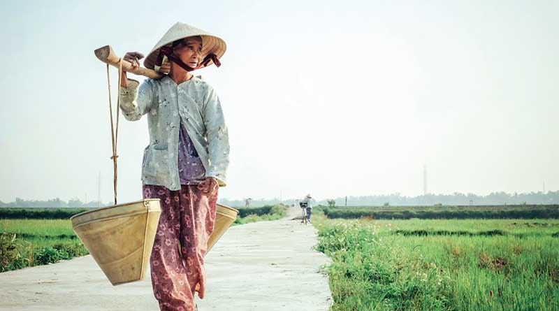 Vietnam's Growing Presence in the Global Agriculture Market: Lessons for India