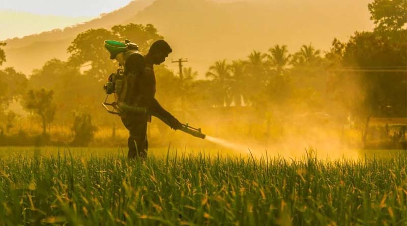 Types of Biological Control: Augmentative, Conservation and Classical