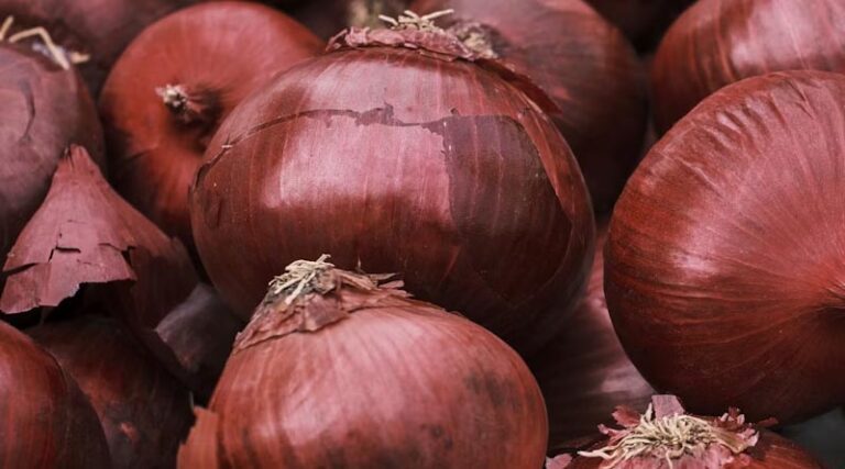 India Resumes Onion Exports to Bangladesh After Trade Disruptions