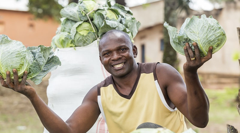 Entrepreneurship in Agribusiness Course Launched by the CABI Academy