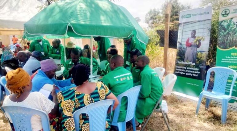 Workshop reviews progress of Taita Taveta Plant Doctor Network in Kenya