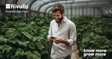 Rivulis Transforms Farming with Advanced AI Technology